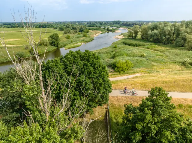 Radfahrende folgen dem Elberadweg durch eine weite natürliche Flusslandschaft.