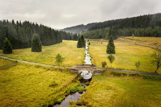Ein gerader Radweg führt durch eine offene Moor- und Waldlandschaft im Erzgebirge.