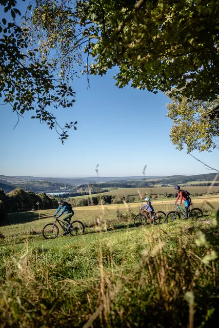 Zwei Mountainbiker fahren durch eine offene Erzgebirgslandschaft.