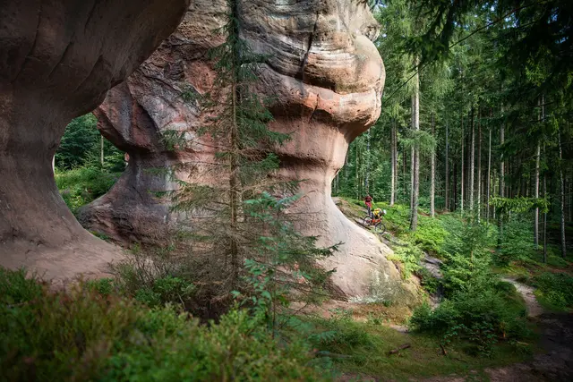Ein Mountainbiker fährt durch ein natürliches Felsentor im Wald.