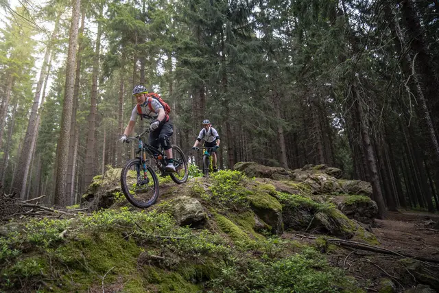 Mehrere Mountainbiker bewältigen einen felsigen Trail zwischen hohen Bäumen.