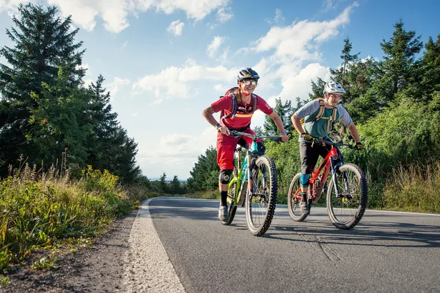 Eine Mountainbike-Gruppe fährt gemeinsam eine asphaltierte Bergstraße hinauf.