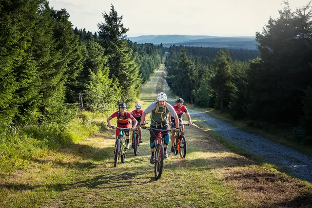 Vier Mountainbiker fahren auf einem breiten Forstweg durch das Erzgebirge.
