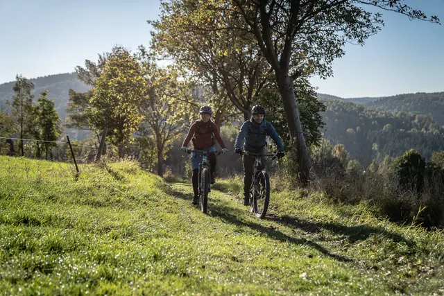 Zwei Mountainbiker fahren auf einem Weg zwischen Wald und Wiese.
