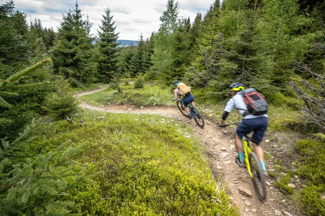 Zwei Mountainbiker fahren eine Kurve auf einem schmalen Bergwaldtrail.