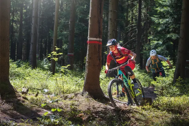Zwei Mountainbiker fahren auf einem schmalen Singletrail durch den Bergwald.