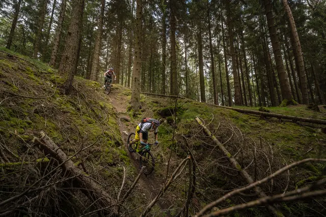 Zwei Mountainbiker fahren einen steilen, wurzeligen Waldtrail hinab.