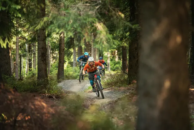 Mehrere Mountainbiker fahren hintereinander über einen Waldtrail.