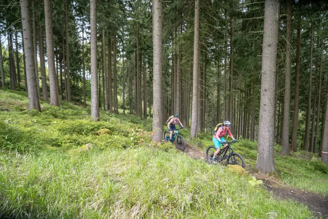 Zwei Mountainbiker fahren auf einem schmalen Weg durch lichten Wald.