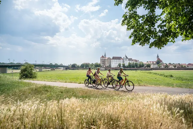 Eine Radgruppe fährt durch die Elbwiesen vor Schloss Hartenfels in Torgau.