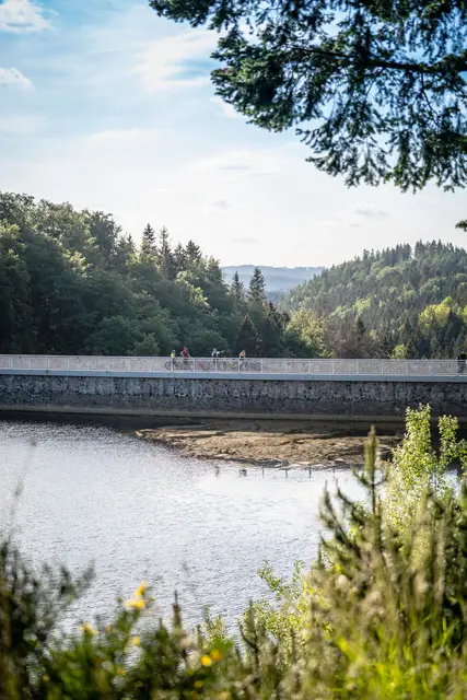 Der Blick durch Bäume fällt auf eine Talsperre und einen Radweg.