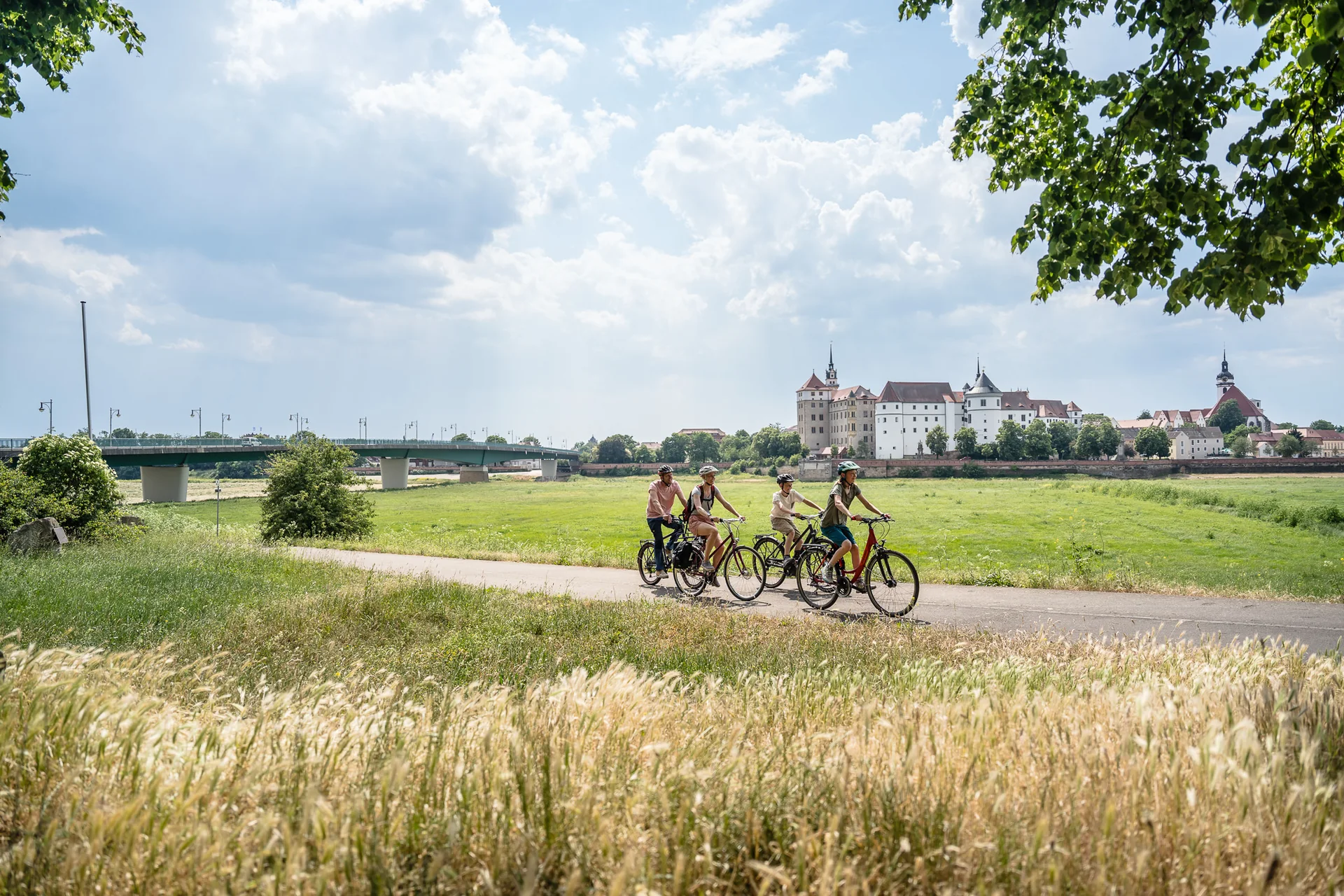 Eine Gruppe Radfahrender auf einem Radweg vor Schloss Hartenfels in Torgau.